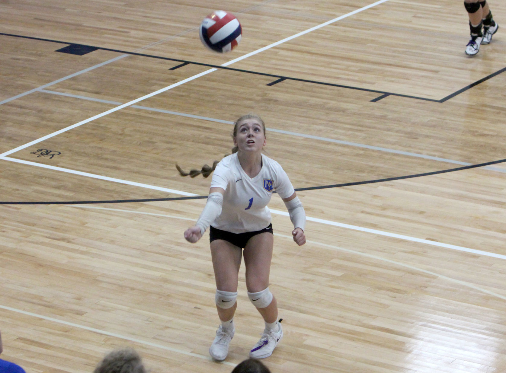 Eau Claire Immanuel Lutheran at McDonell volleyball 10-26-19